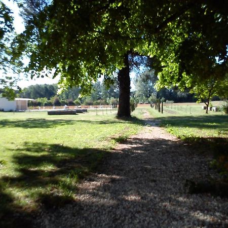 Villa Domaine De Rochegude Avignon Exterior foto